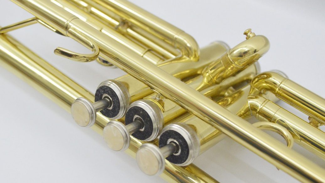 Trompete Shelter SFT6418l Sib Com Case