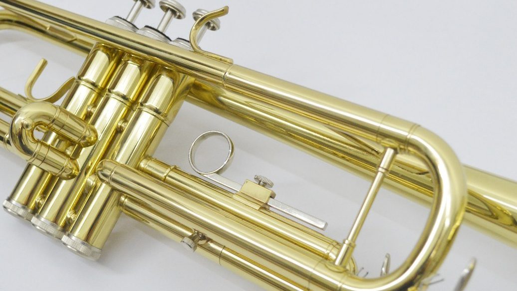 Trompete Shelter SFT6418l Sib Com Case