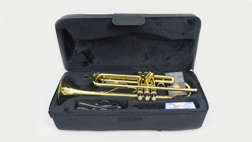 Trompete Shelter SFT6418l Sib Com Case