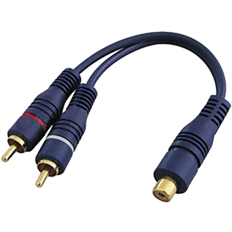 Cabo MXT 1RCAFemeax2RCAMacho Y