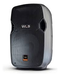 Caixa Passiva WLS S10 10P 100 Watts 8 Ohms